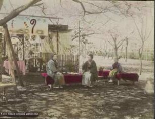 Öffentlicher Garten in Yokohama