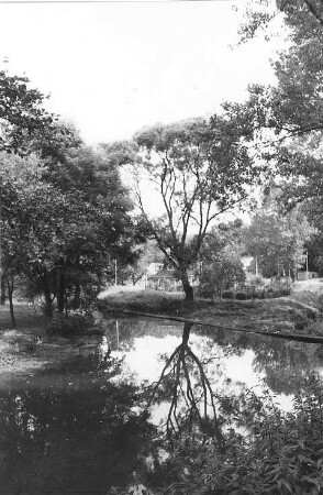 Schöpstal-Ebersbach. Wehr der Niedermühle