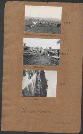 Viehweide bei Verdun während des Krieges