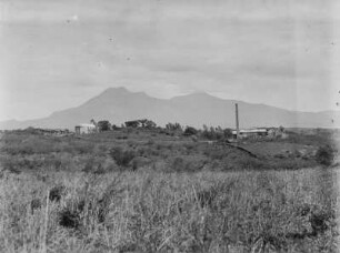 Grasland : Grasland, das an einen Berg angrenzt