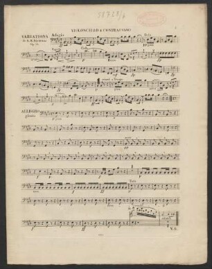 Violoncello e Contrabasso