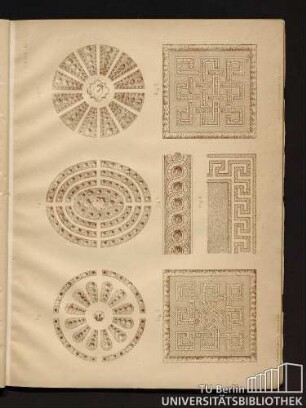 Tafel XII. Fig. 1 bis Fig. 7.
