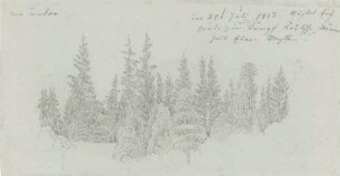 Wald. Krippen 1813
