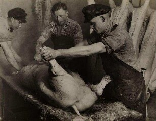 Schlachten eines Schweins