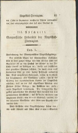 III. Abschnitt. Geognostische Uebersicht der Nahgelflucht-Formazion.