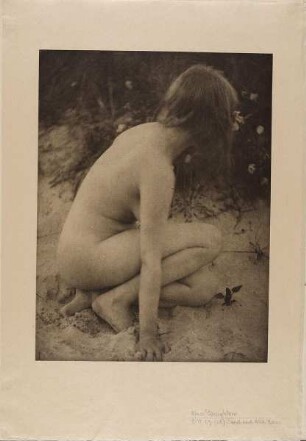 Sand and Wild Roses