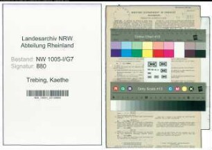 Entnazifizierung Kaethe Trebing , geb. 11.02.1920 (Postfacharbeiterin)