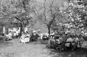 Vogtsburg: Gartenlokal unter Blüten