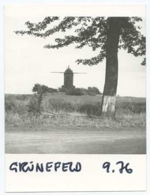 Paltrockwindmühle Grünefeld