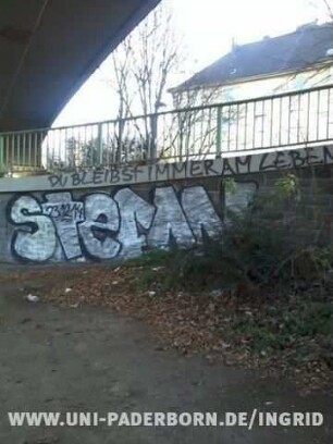SteFAN