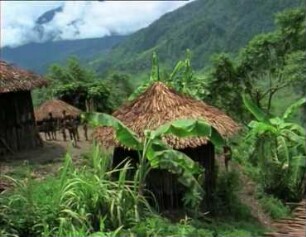 Eipo (West-Neuguinea, Zentrales Hochland) - Haarschnitt