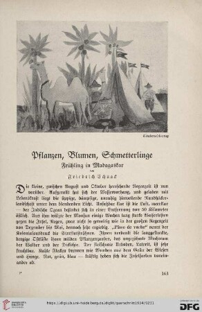 14: Pflanzen, Blumen, Schmetterlinge : Frühling in Madagaskar