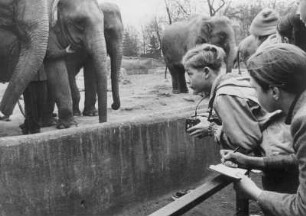 Hamburg. Eine Schulklasse besucht während ihres Unterrichts den Tierpark Hagenbeck. Hier vor der Außenanlage der Elefanten