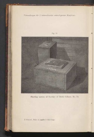 Fig. 19. Showing section of fracture of Brick Column No. 55