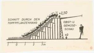 Grüne Woche 1952, Berlin Halle 6: Schnitt durch den Topfpflanzenhang