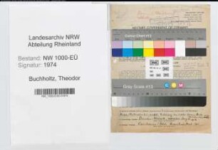 Entnazifizierung Theodor Buchholtz, geb. 11.06.1901 (Bankinspektor)