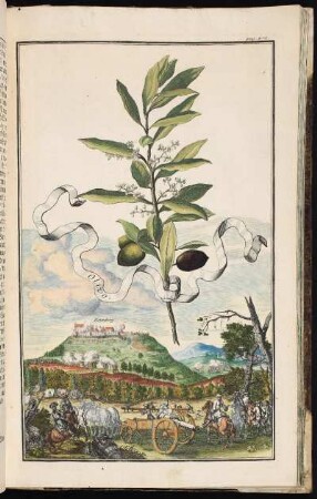 p. 236 Rotenberg. - Veste Rothenberg, Schnaittach
