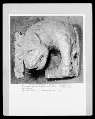 Fragment eines steinernen Löwen