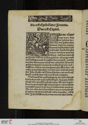 Die [erst - dritte] Epistel sanct Joannis