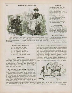 "Sonderbare Voraussetzung" "Wie man auf Ceylon Elephanten fängt"