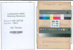 Entnazifizierung Theodor Oel , geb. 04.04.1903 (Steiger)