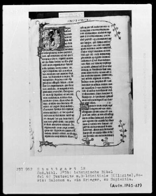 Lateinische Bibel, drei Bände — Initiale D (iligite iusticia) mit Salomon und einem Krieger, Folio 62recto