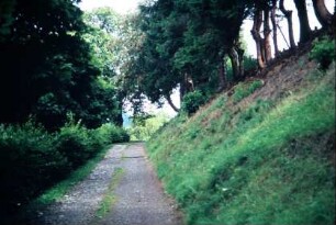 Weg zum Friedhof