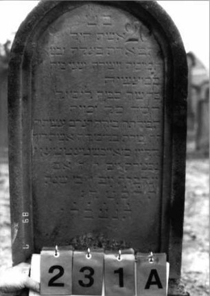 Grabstein 231 (Index: 99797709) Material: Sandstein, weiß Zustand: leicht verwittert Maße HxBxT: 110x45x10 cm Beschreibung: Stele, Rundbogenabschluß, Sockel: Grabstein 231A