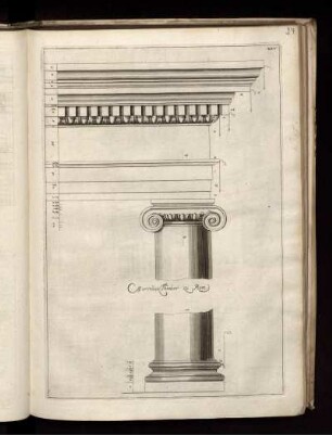 Illustration XXV: MarcellusTheater zu Rom