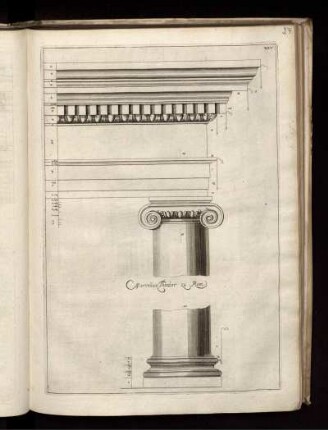 Illustration XXV: MarcellusTheater zu Rom