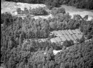 Dresden-Neustadt, Marienallee. Sowjetischer Ehrenfriedhof (angelegt 1945). Luftbild-Schrägaufnahme nach Westen