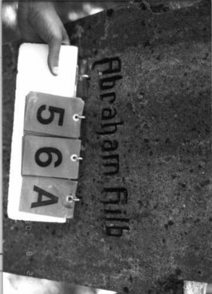 Grabstein 56 (Index: 99790068) Material: ? Zustand: sehr gut Maße HxBxT: 161x66x18 cm Symbolik: Davidstern Besonderheit: jung = junior: Grabstein 56A