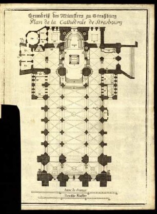 Grundriß des Münsters zu Straßburg Plan de la Cathedrale de Strasbourg