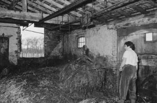 Fotografie: Greiferanlage, Entmisten