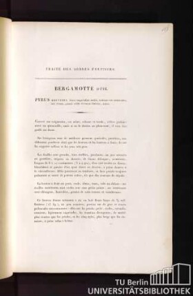 Traité des arbres fruitiers. Bergamotte d'été. Pyrus beuveria, fructu magnitudinis mediae, turbinato vel subdeltoideo, latè virente, punctis viridis fulvisque distincto, aestivo.