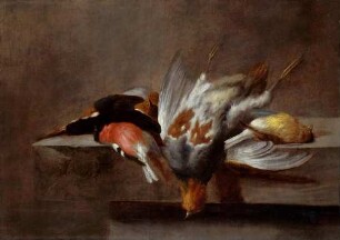 Tote Vögel