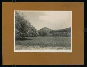 208, Schwäbische Alb. Die Limburg bei Weilheim. (Nr. 3660).