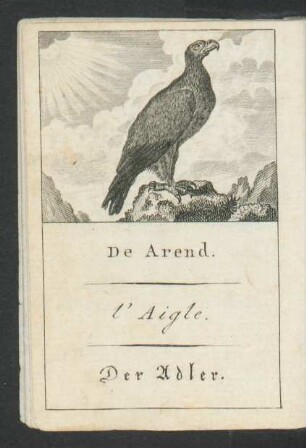 Tafel: De Arend. l'Aigle. Der Adler.