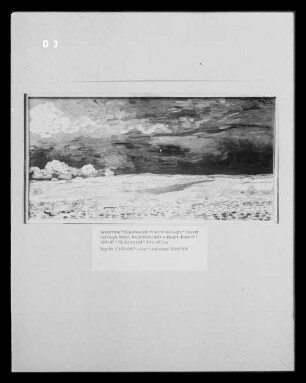 Weizenfeld unter wolkigem Himmel