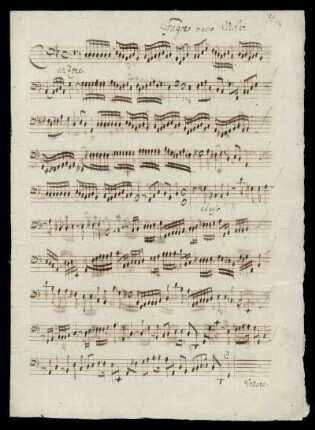 Fagotto overo Viola