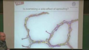 Angiogenesis and somite splitting: An ultra-short presentation