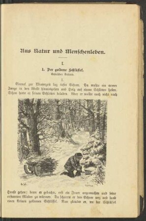 Aus Natur und Menschenleben