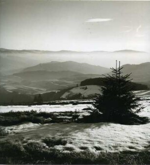 Vorfrühling im Hochschwarzwald