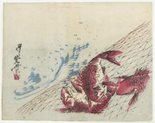 Fische im Netz