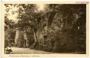 Grimma. Nimbschen Klosterruine