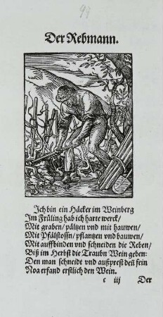 Der Rebmann : Ammann, Jost: Der Rebmann. Holzschnitt; 180 x 118 mm (Blattgröße). Aus: Sachs, Hans: Eygentliche Beschreibung Aller Stände auff Erden. Hoher vnd Nidriger, Geistlicher vnd Weltlicher, Aller Künsten, Handwercken vnd Händeln, [et]c. vom grösten biß zum kleinesten, Auch von jarem Ursprung, Erfindung vnd gebreuchen. Franckfurt am Mayn: Sigmund Feyerabend, 1568. Dresden: SLUB Lit.Germ.rec.B.2039