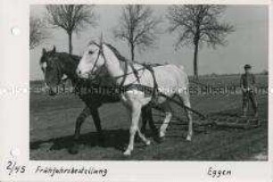 Frühjahrsbestellung - Eggen der Felder