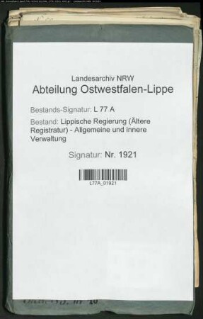 Die Realschulklassen an den Gymnasien zu Lemgo und Detmold