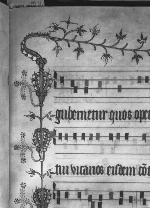 Missale des Simon Renoul — Ausschnitt mit Ornament, Folio 161 recto