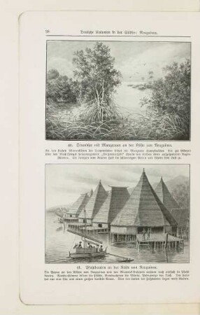 41. Pfahlbauten an der Küste Neuguinea